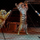 Photo: The Washington Post / Getty Images